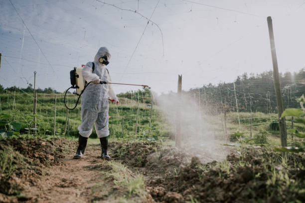 Best Pest Prevention Services  in Ithaca, NY