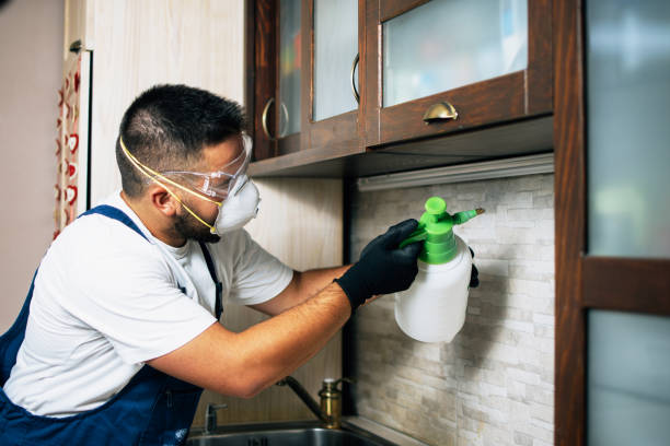 Flea Control Services in Ithaca, NY