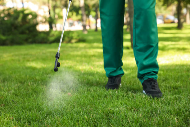 Best Ant Control Services  in Ithaca, NY