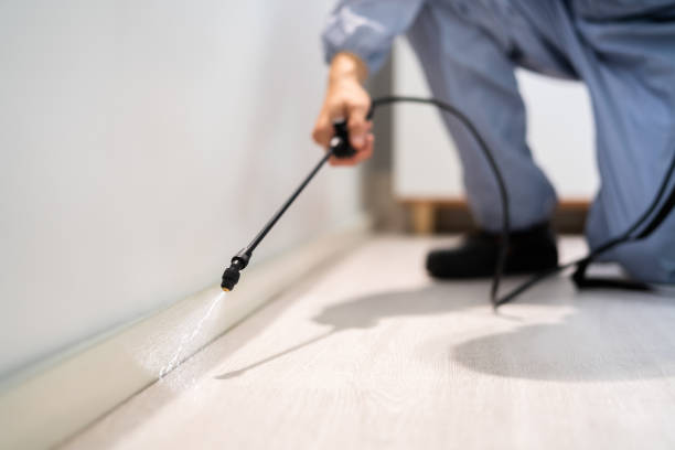 Professional Pest Control in Ithaca, NY