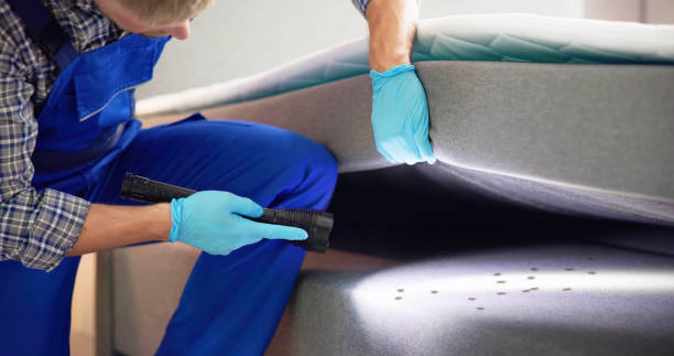 Best Affordable Pest Control Services  in Ithaca, NY