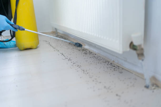 Best Local Pest Control Services  in Ithaca, NY