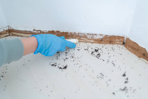 Best Best Pest Control Companies  in Ithaca, NY